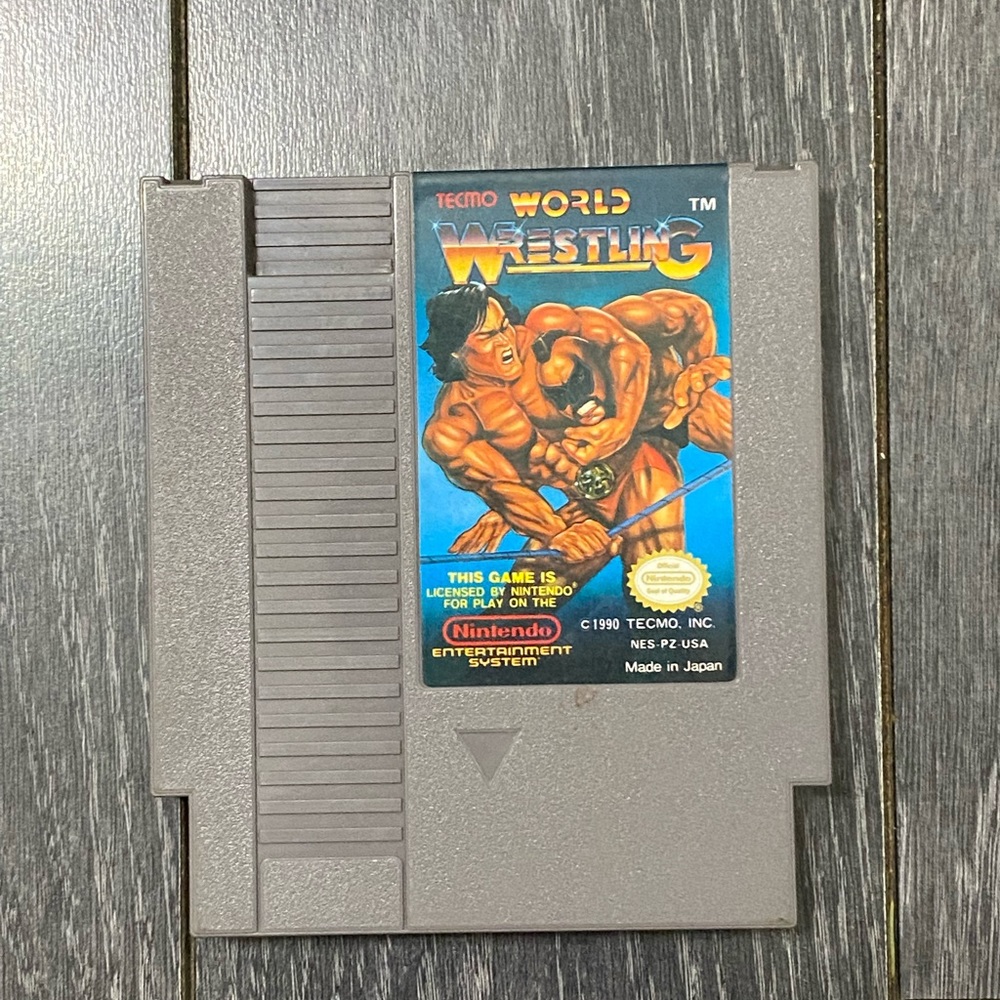 Techmo World Wrestling NES Game
